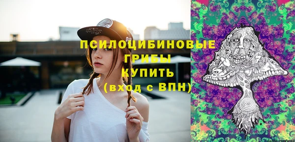 PSILOCYBIN Балахна