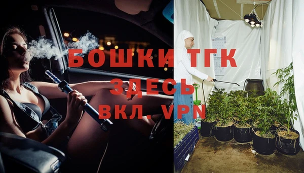 PSILOCYBIN Балахна