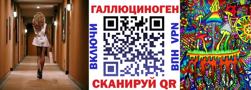 гидра ссылка  Тында  Псилоцибиновые грибы Cubensis 